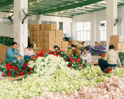 Flower factory